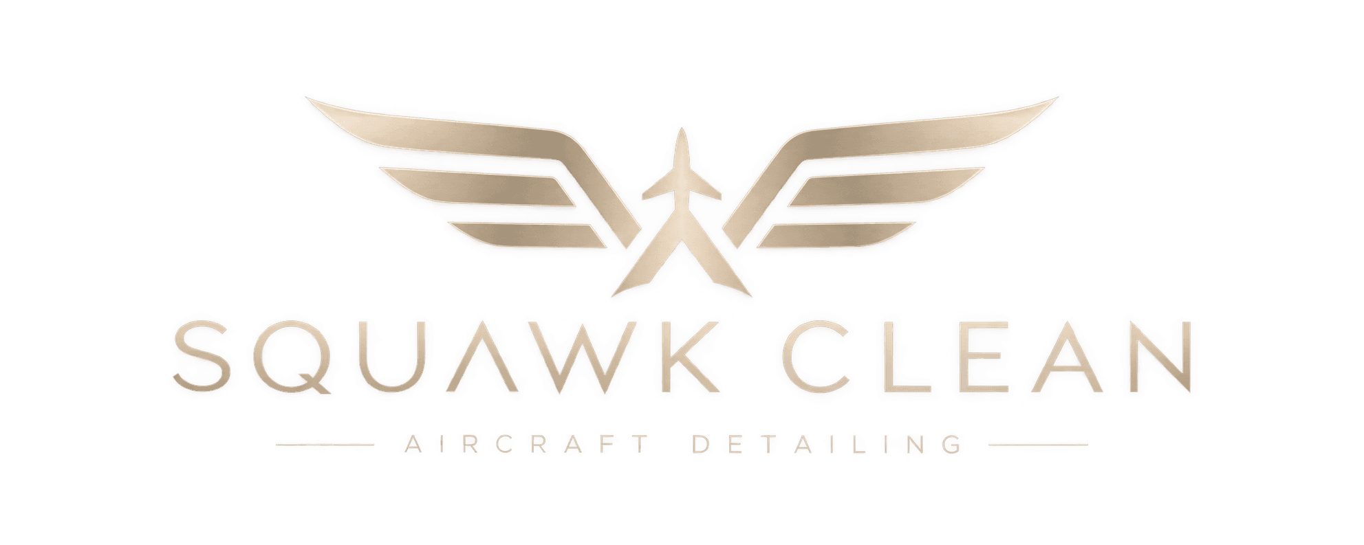 Squawk Clean Aircraft Detailing